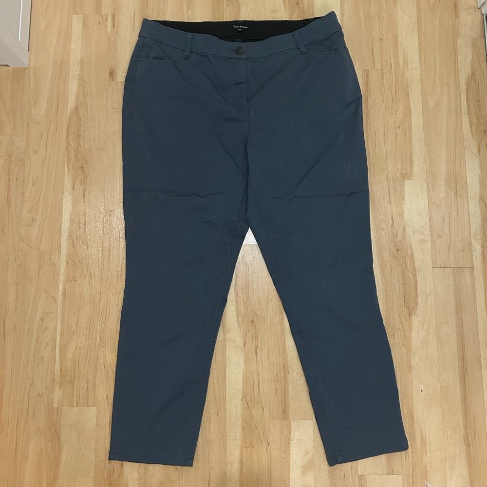 Violets and Roses Blue Ankle Slacks - 16W